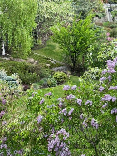 253 Patterson Boulevard Sw, Calgary, AB - Outdoor