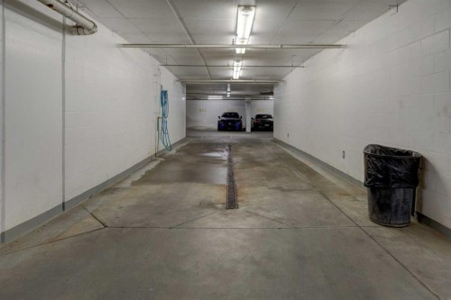 246-222 Riverfront Avenue Sw, Calgary, AB - Indoor Photo Showing Garage