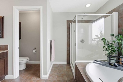 99 Sunset View, Cochrane, AB - Indoor Photo Showing Bathroom