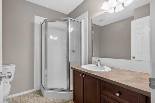 135 Copperstone Grove Se, Calgary, AB - Indoor Photo Showing Bathroom