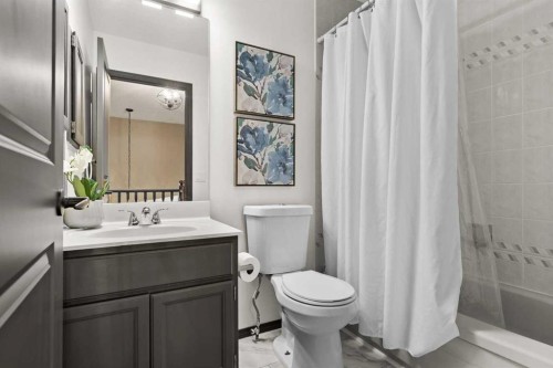 48 Rivergreen Crescent Se, Calgary, AB - Indoor Photo Showing Bathroom