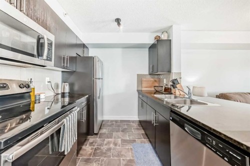 2411-81 Legacy Boulevard Se, Calgary, AB - Indoor Photo Showing Kitchen With Double Sink