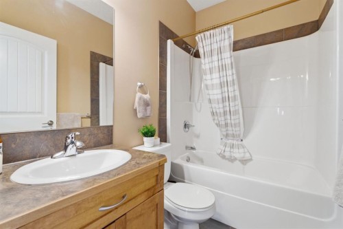 10 Goddard Circle, Carstairs, AB - Indoor Photo Showing Bathroom