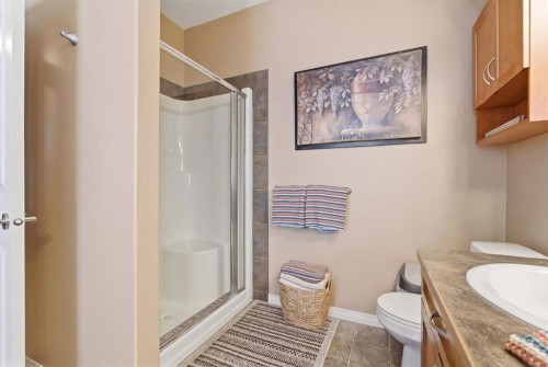 10 Goddard Circle, Carstairs, AB - Indoor Photo Showing Bathroom
