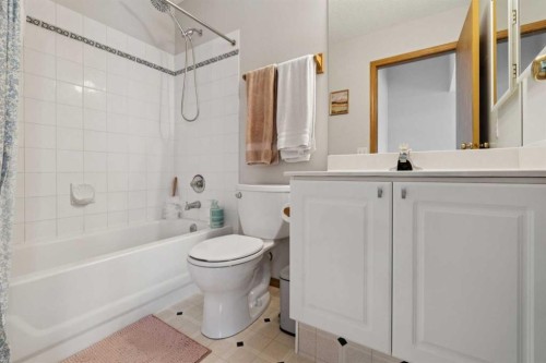72 Mt Apex Green Se, Calgary, AB - Indoor Photo Showing Bathroom