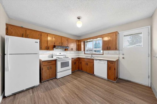 4748 Rundlehorn Drive Ne, Calgary, AB - Indoor Photo Showing Kitchen With Double Sink