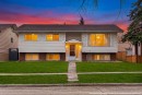 4748 Rundlehorn Drive Ne, Calgary, AB  - Outdoor 