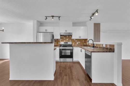 281 Elgin Gardens Se, Calgary, AB - Indoor Photo Showing Kitchen With Stainless Steel Kitchen With Upgraded Kitchen