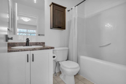 281 Elgin Gardens Se, Calgary, AB - Indoor Photo Showing Bathroom