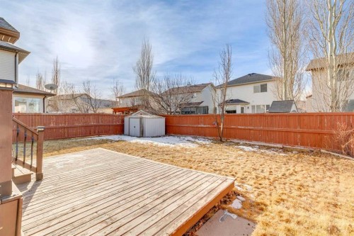 184 Cimarron Park Circle, Okotoks, AB - Outdoor