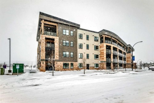 311-55 Wolf Hollow Crescent Se, Calgary, AB - Outdoor With Balcony With Facade