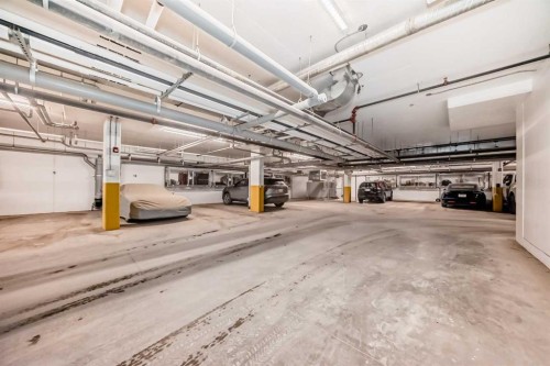 311-55 Wolf Hollow Crescent Se, Calgary, AB - Indoor Photo Showing Garage