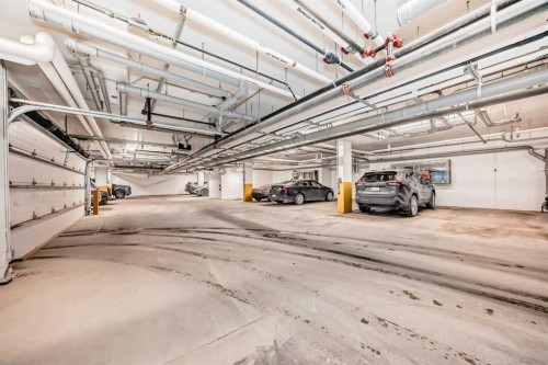 311-55 Wolf Hollow Crescent Se, Calgary, AB - Indoor Photo Showing Garage