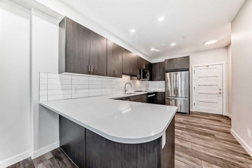 311-55 Wolf Hollow Crescent Se, Calgary, AB - Indoor Photo Showing Kitchen With Upgraded Kitchen