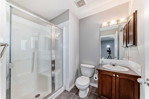 17 Copperfield Court Se, Calgary, AB - Indoor Photo Showing Bathroom