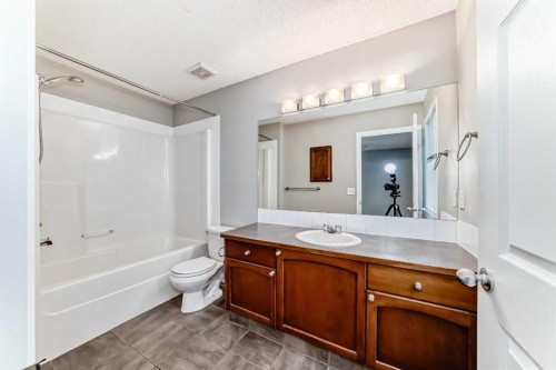 17 Copperfield Court Se, Calgary, AB - Indoor Photo Showing Bathroom
