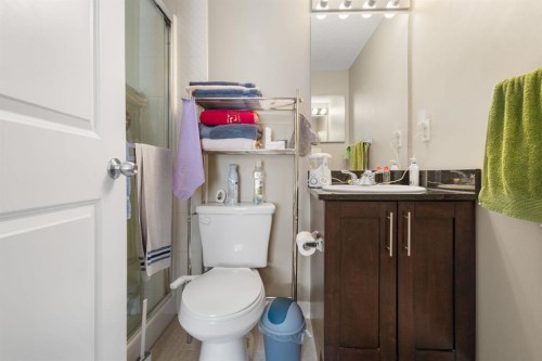 1237-81 Legacy Boulevard Se, Calgary, AB - Indoor Photo Showing Bathroom