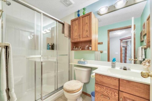 280 Cramond Close Se, Calgary, AB - Indoor Photo Showing Bathroom