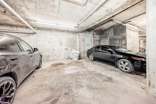 1305-403 Mackenzie Way Sw, Airdrie, AB - Indoor Photo Showing Garage