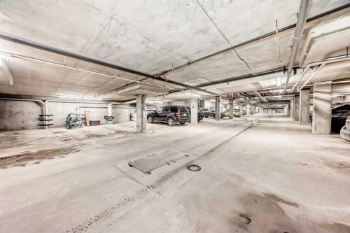 1305-403 Mackenzie Way Sw, Airdrie, AB - Indoor Photo Showing Garage