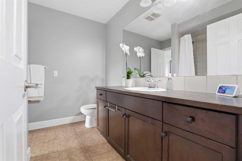 52 Windstone Green Sw, Airdrie, AB - Indoor Photo Showing Bathroom