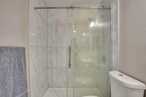 391 Millrise Square Sw, Calgary, AB - Indoor Photo Showing Bathroom