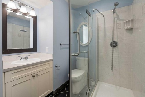 18 Autumn Circle Se, Calgary, AB - Indoor Photo Showing Bathroom