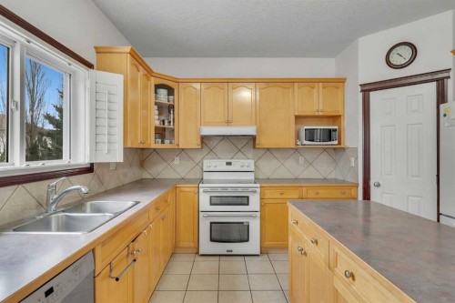 113 West Creek Pond, Chestermere, AB - Indoor Photo Showing Kitchen With Double Sink