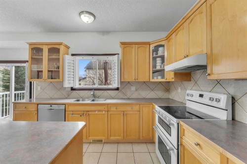 113 West Creek Pond, Chestermere, AB - Indoor Photo Showing Kitchen