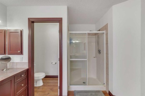 113 West Creek Pond, Chestermere, AB - Indoor Photo Showing Bathroom