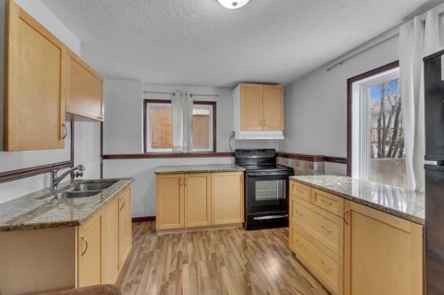 113 West Creek Pond, Chestermere, AB - Indoor Photo Showing Kitchen With Double Sink