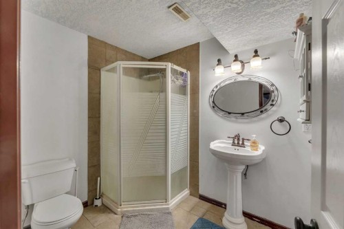 113 West Creek Pond, Chestermere, AB - Indoor Photo Showing Bathroom