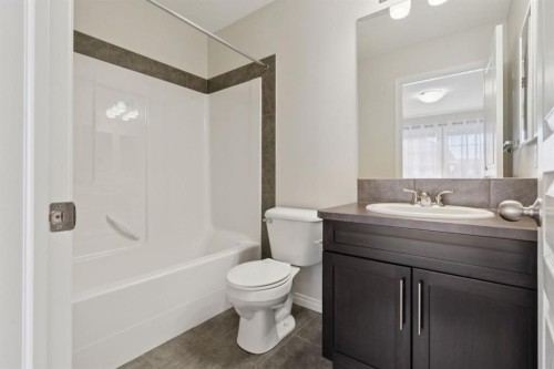 10 Auburn Bay Common Se, Calgary, AB - Indoor Photo Showing Bathroom
