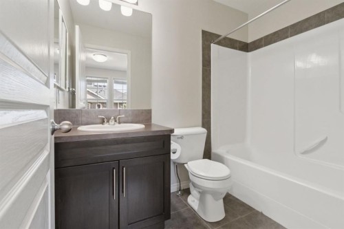 10 Auburn Bay Common Se, Calgary, AB - Indoor Photo Showing Bathroom