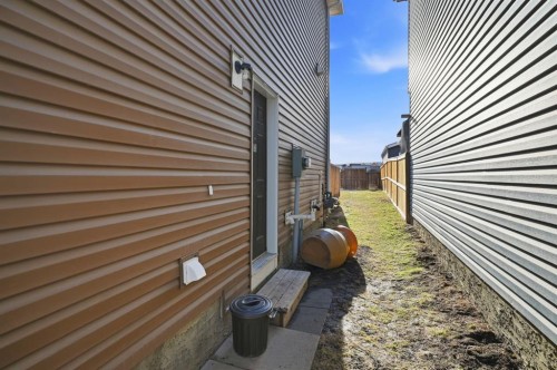 96 Red Embers Crescent Ne, Calgary, AB 