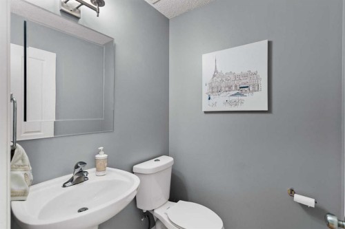 180 Cranfield Park Se, Calgary, AB - Indoor Photo Showing Bathroom