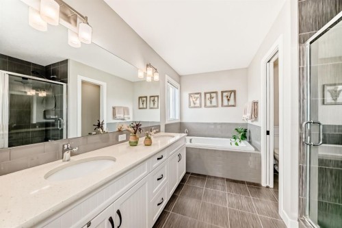 156 Masters Rise Se, Calgary, AB - Indoor Photo Showing Bathroom