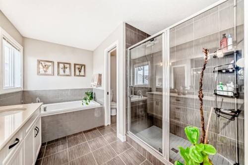 156 Masters Rise Se, Calgary, AB - Indoor Photo Showing Bathroom
