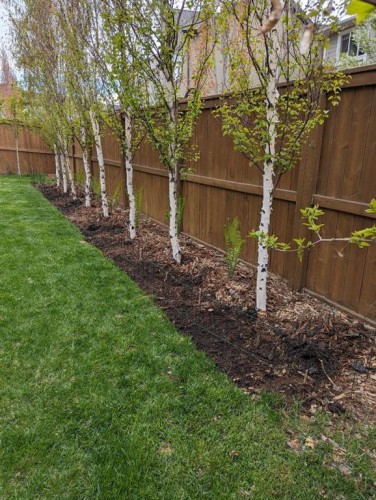 156 Masters Rise Se, Calgary, AB - Outdoor