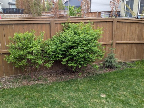 156 Masters Rise Se, Calgary, AB - Outdoor