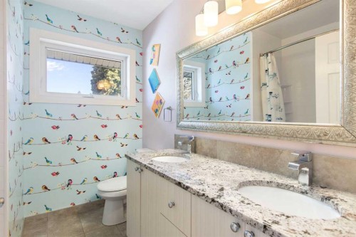656 Willow Brook Drive Se, Calgary, AB - Indoor Photo Showing Bathroom