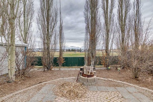 37 Cimarron Trail, Okotoks, AB - Outdoor