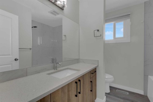 99 Dovercliffe Way Se, Calgary, AB - Indoor Photo Showing Bathroom
