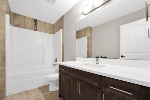 360 Saddlemont Boulevard Ne, Calgary, AB - Indoor Photo Showing Bathroom