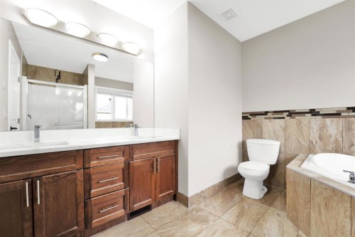 360 Saddlemont Boulevard Ne, Calgary, AB - Indoor Photo Showing Bathroom