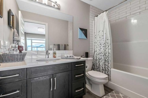 91 Wolf Hollow Park Se, Calgary, AB - Indoor Photo Showing Bathroom