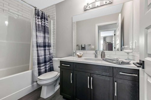 91 Wolf Hollow Park Se, Calgary, AB - Indoor Photo Showing Bathroom