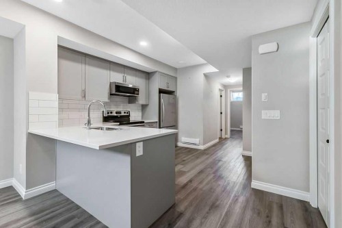 91 Wolf Hollow Park Se, Calgary, AB - Indoor Photo Showing Kitchen With Upgraded Kitchen