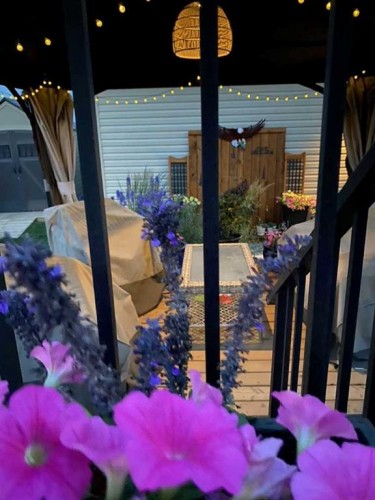 91 Wolf Hollow Park Se, Calgary, AB - Outdoor