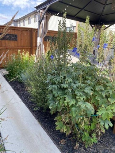 91 Wolf Hollow Park Se, Calgary, AB - Outdoor